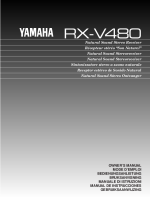 Yamaha RXV-480 - Owners Manual 